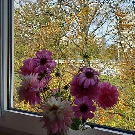 M-suites - Near Frankfurt Airport